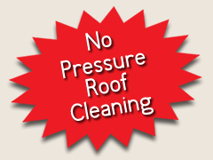 No Pressue Roof Cleaning